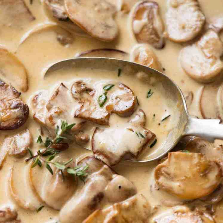 Close up of spoon scooping up Creamy Mushroom Sauce