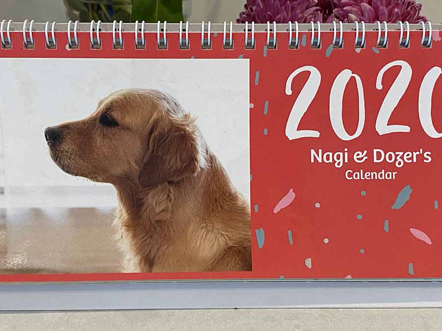 Dozer-calendar-boy_2