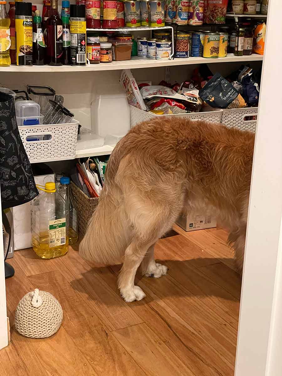 Dozer-in-pantry