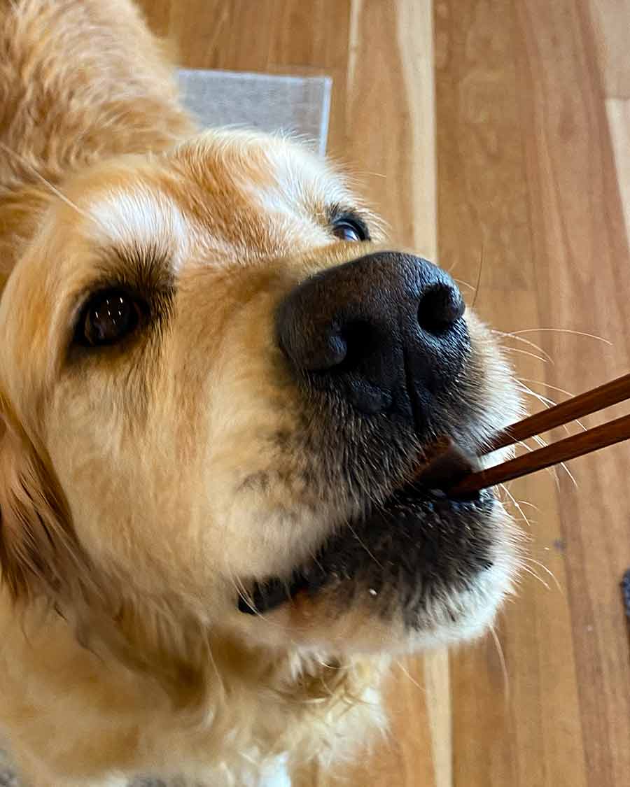 Dozer taste testing sweet and sour pork