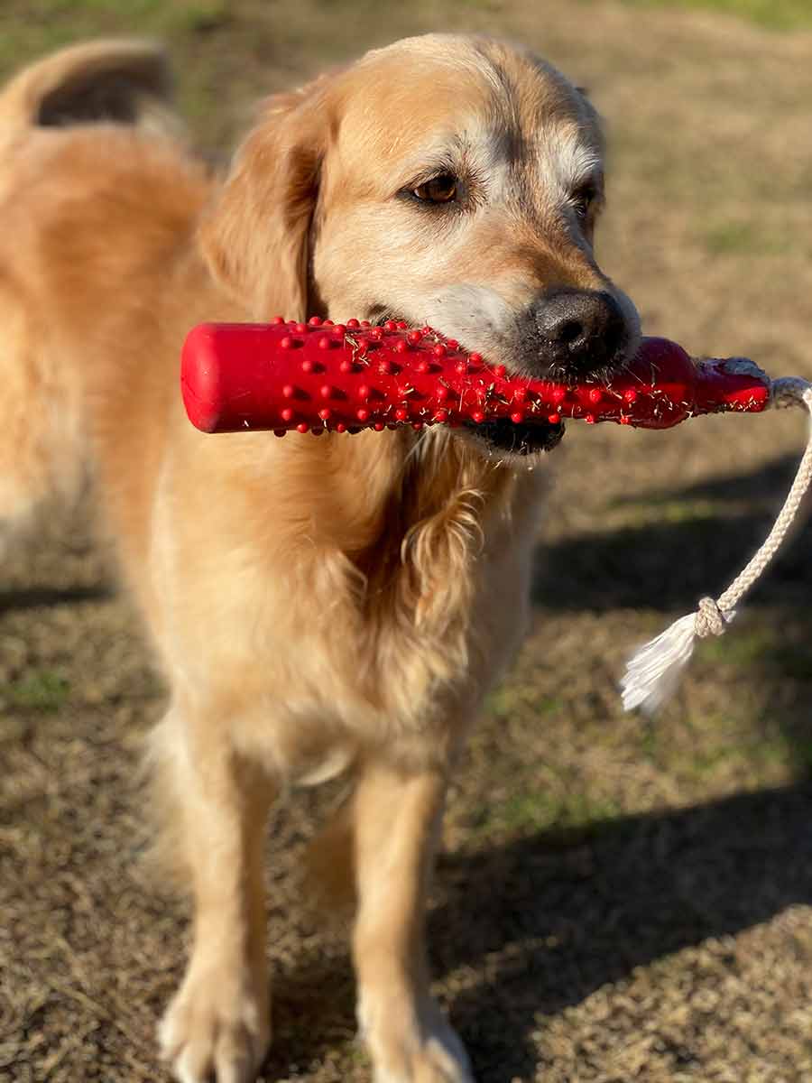 Dozer with toy throwing stick