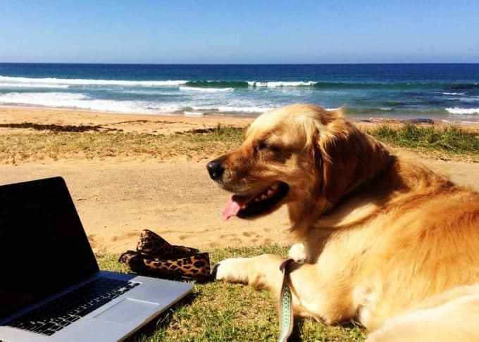 Dozer-working-Bilgola-Beach2