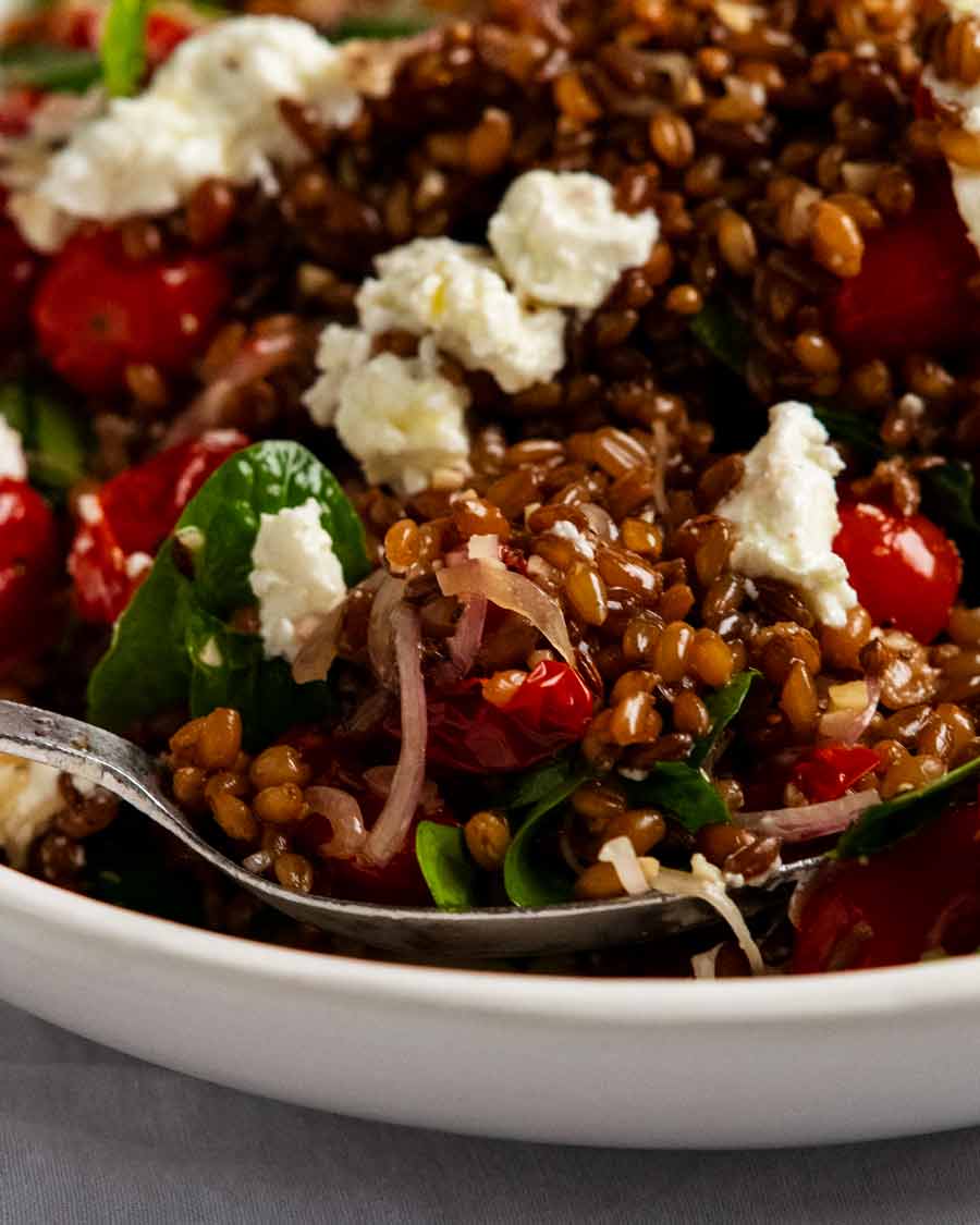 Close up scooping up Farro Salad