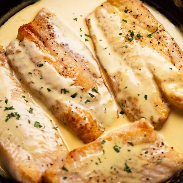 Freshly cooked fish with white wine sauce