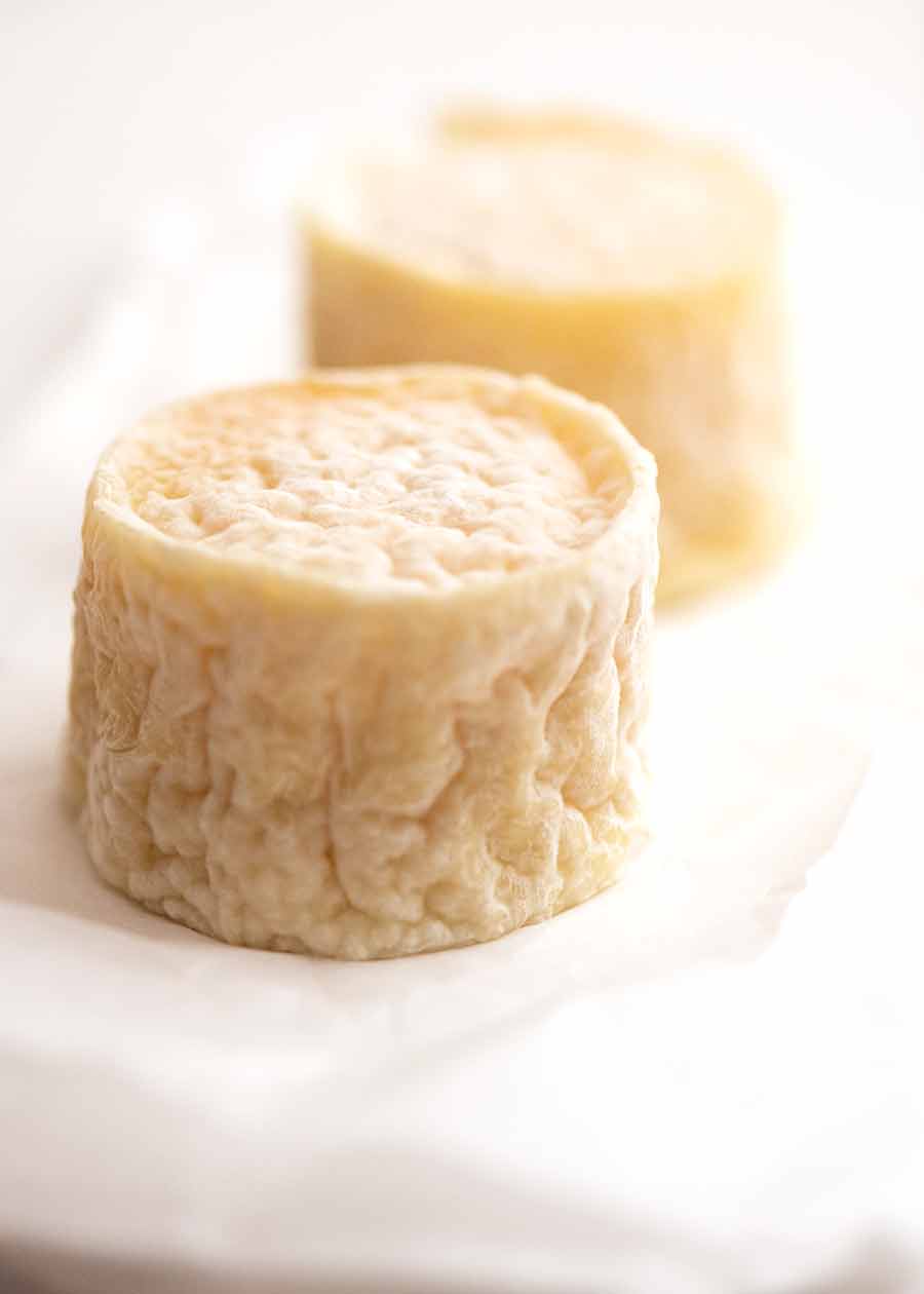 Photo of Crottin de Champcol, a small goat cheese made in the Loire Valley of France