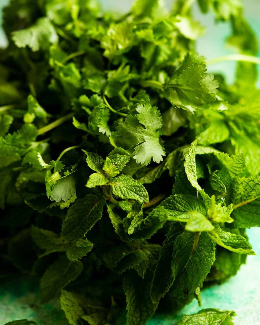 Mint and coriander / cilantro