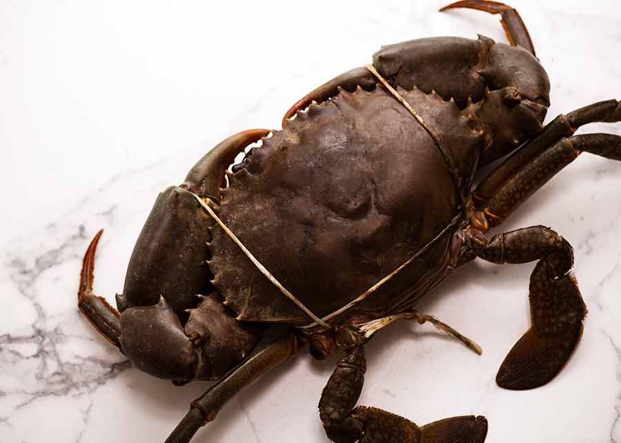 Raw mud crab