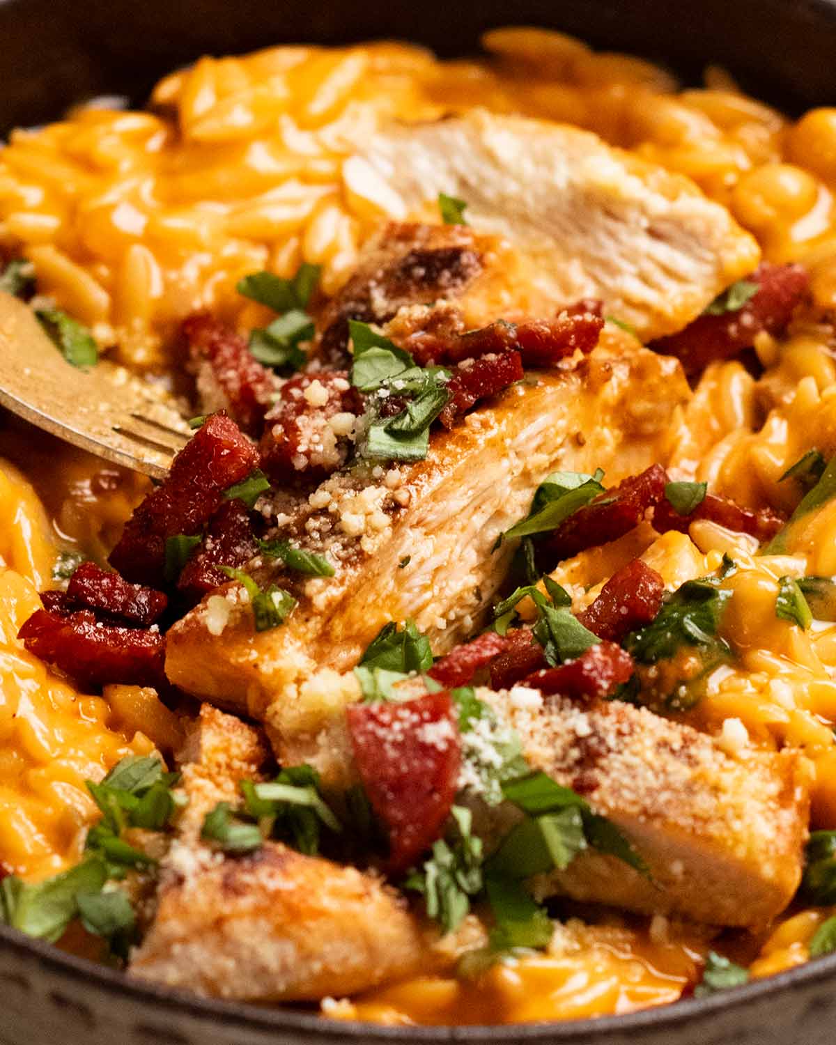 One pan chicken creamy tomato risoni with crispy salami (orzo)