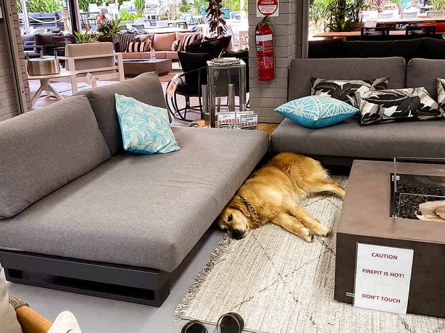 Dozer Outdoor furniture shopping