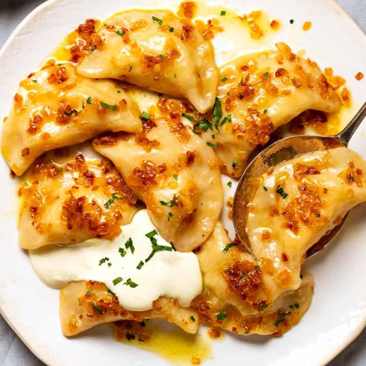 Plate of Pierogi Ruskie (Polish Dumplings)