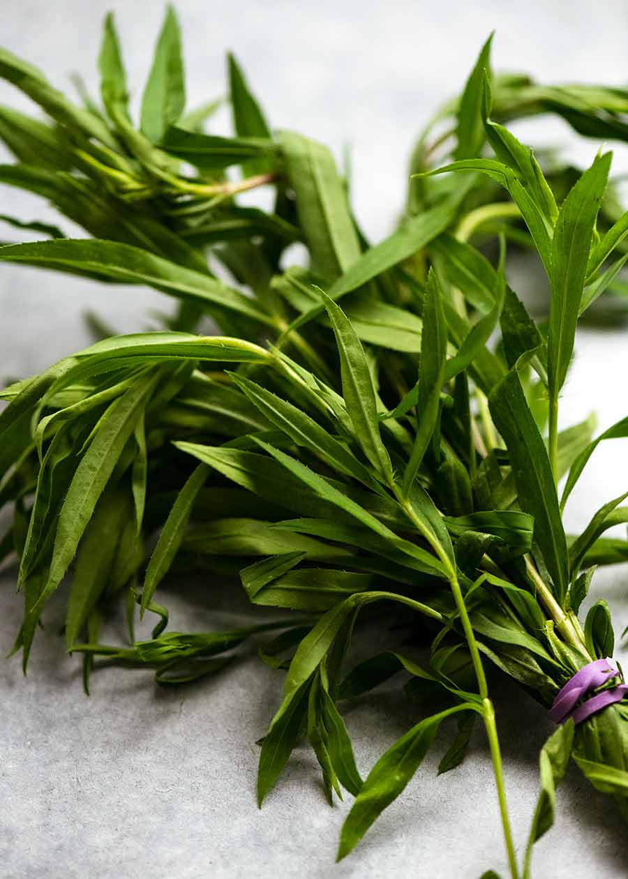 Tarragon