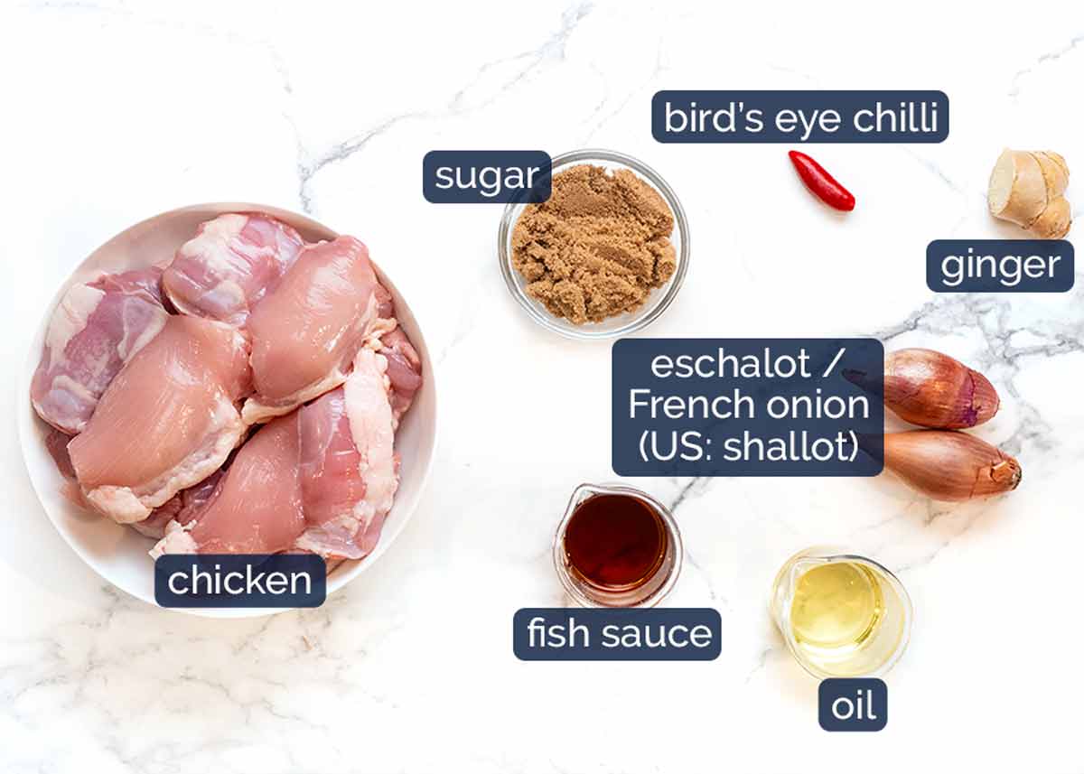 Vietnamese Caramel Ginger Chicken ingredients